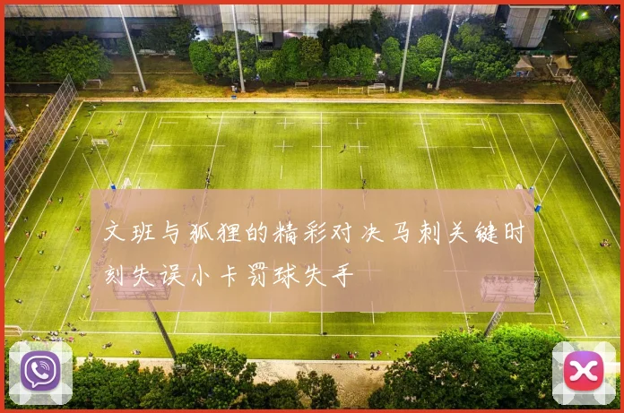 文班与狐狸的精彩对决马刺关键时刻失误小卡罚球失手