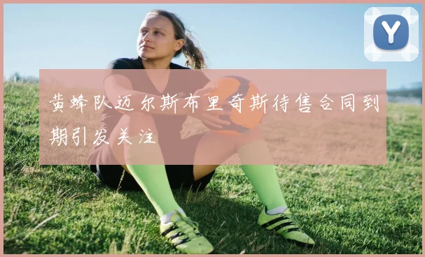 黄蜂队迈尔斯布里奇斯待售合同到期引发关注